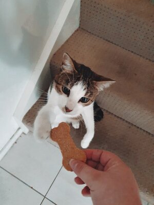 Seb